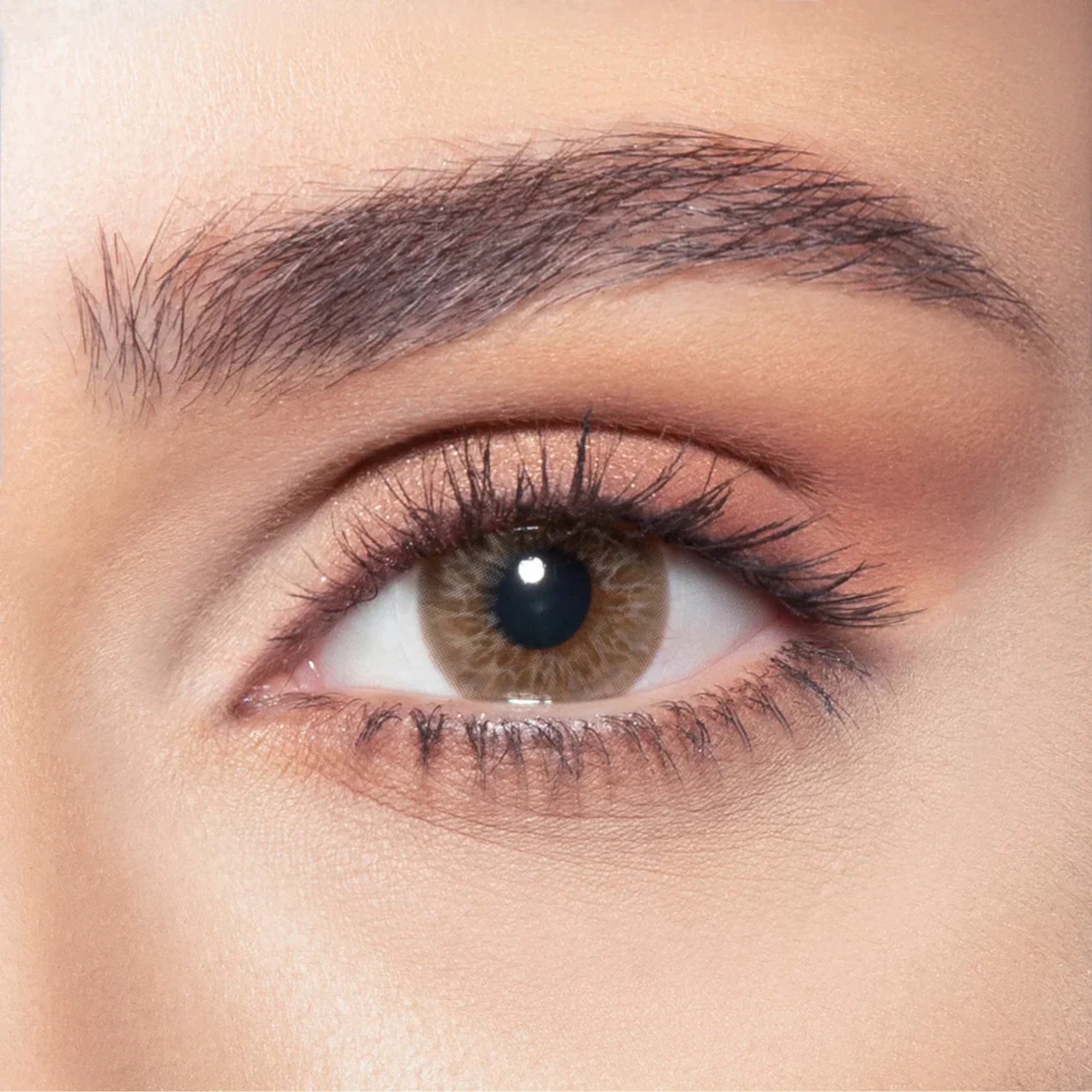 Bella stellar gaze collection