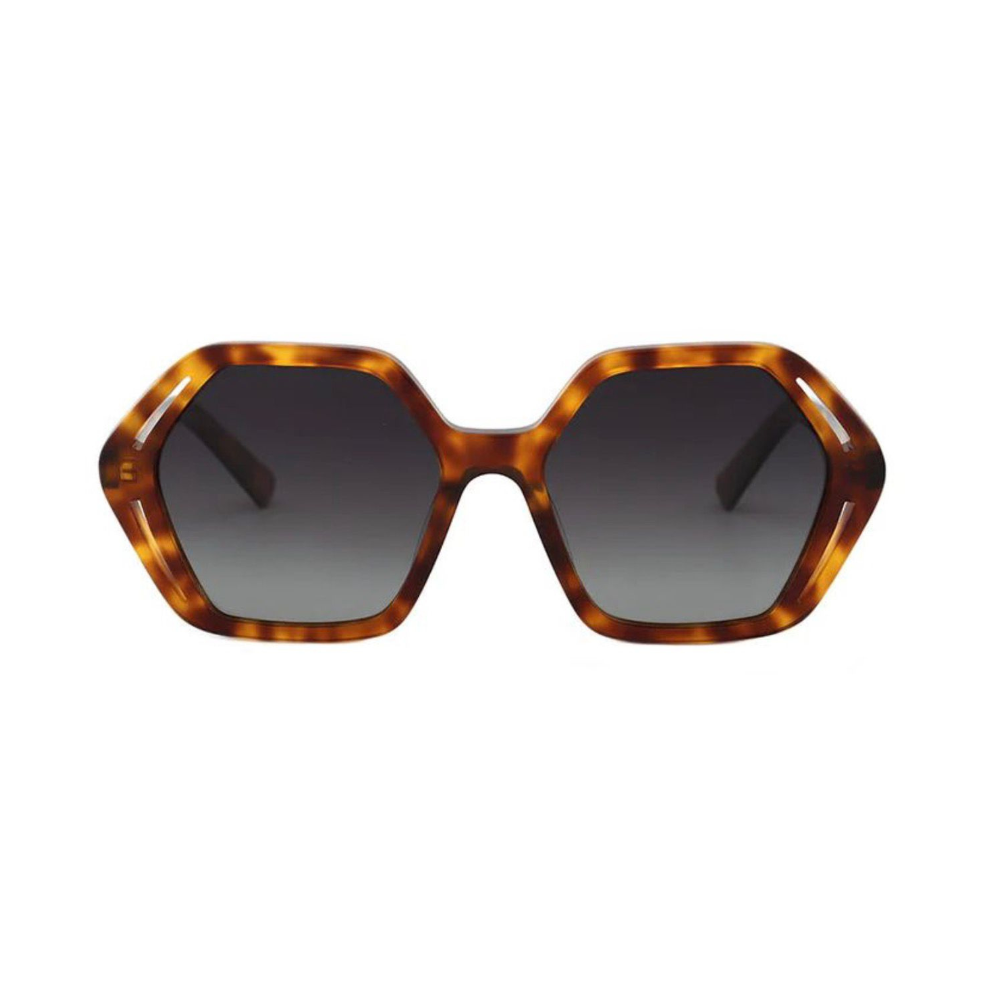 Nigel - havana brown