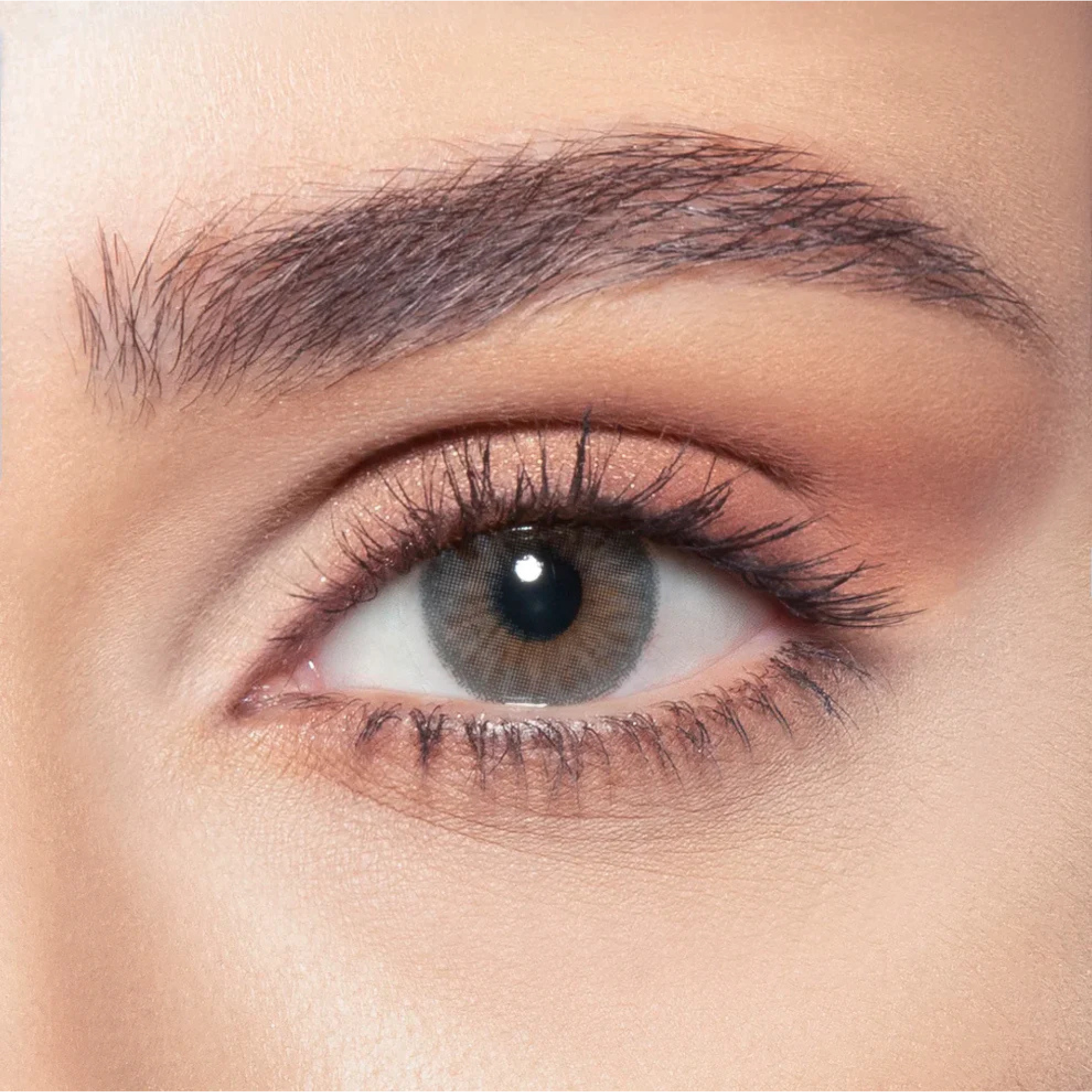 Bella stellar gaze collection